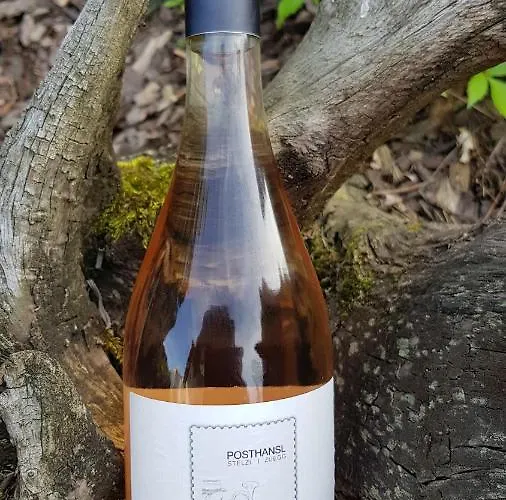 Posthansl L Sernau 1 منزل للإقامة غامليتز