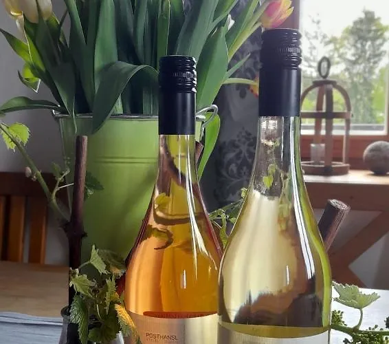 منزل للإقامة Posthansl L Sernau 1 *