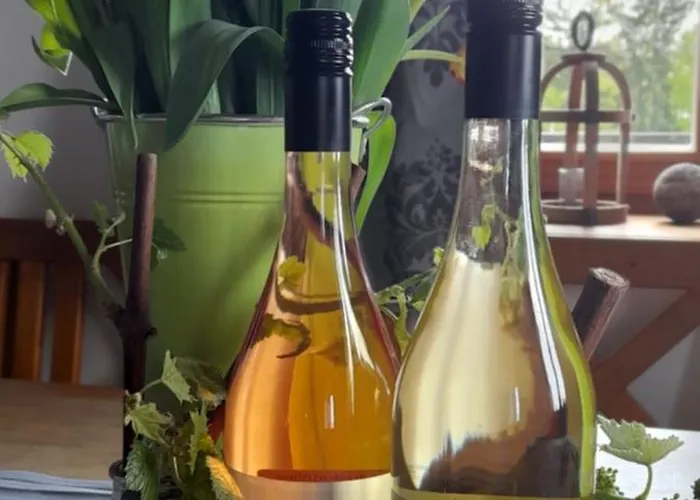 Accommodatie bij particulieren Posthansl L Sernau 1